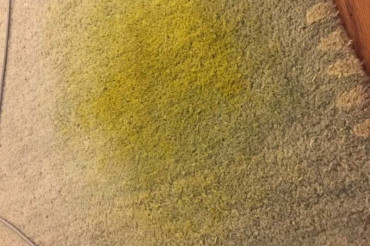 How To Get Turmeric Out Of Carpet? Applying The 6 Methods Of KATA